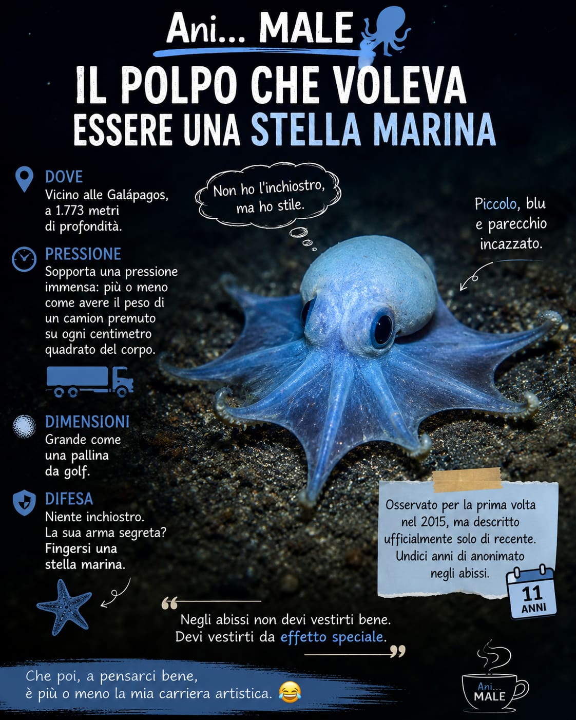 Ani… MALE – Il polpo che voleva essere una stella marina