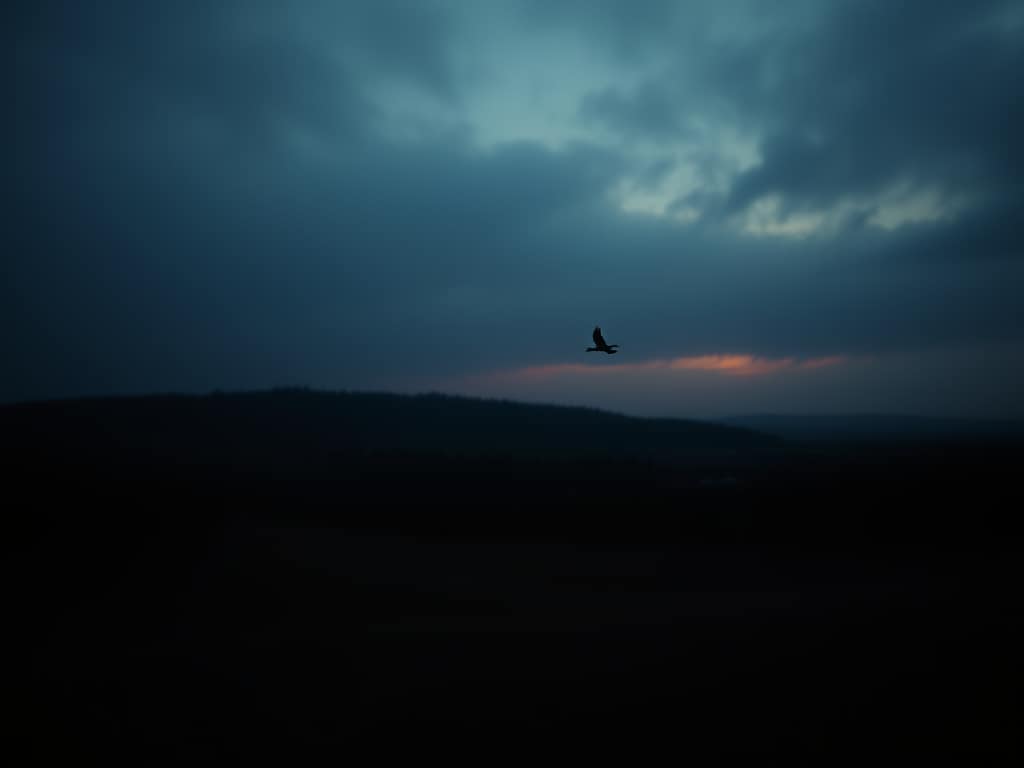 Volo rasoiante