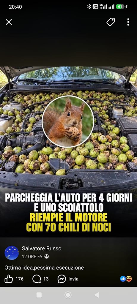 Meme che racconta di uno scoiattolo che avrebbe riempito il motore di un’auto con circa 70 chili di noci.