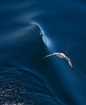 vyacheslav_via-dontcallmebetty (1)